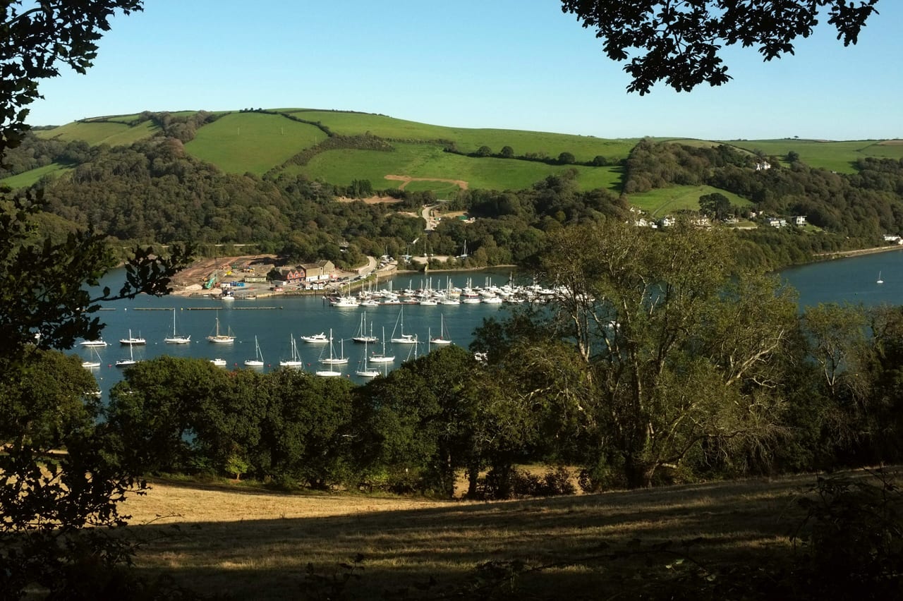 The marina from across the Dart in 2020